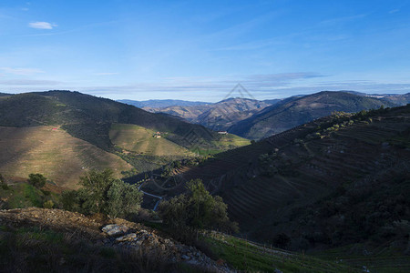 葡萄牙Pinhao村附近杜罗河谷的梯田葡萄园景观高清图片