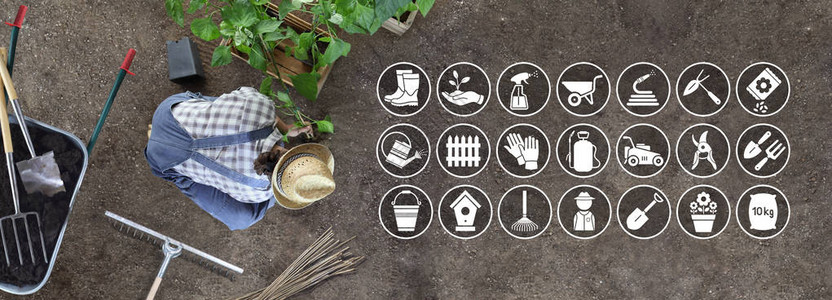 在菜园里工作的男子将植物放在地上花园设备的图标和符号图片