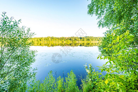 阳光明媚的夏日风景森林湖图片