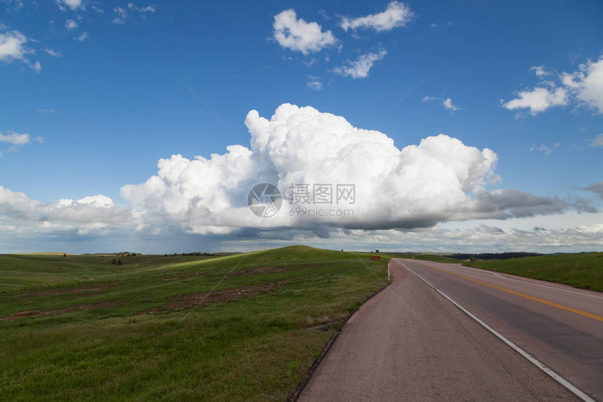 穿过风洞公园的道路旁的春天绿色草原的动态景观图片