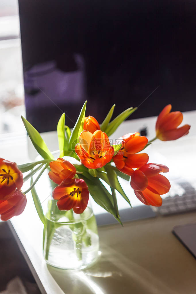 在计算机监视器附近的一个花瓶立方体上的红色郁金香您家办公室桌面上的图片