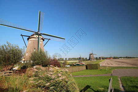 风车仍在努力保持荷兰泽文水津的Tweemanspod背景图片