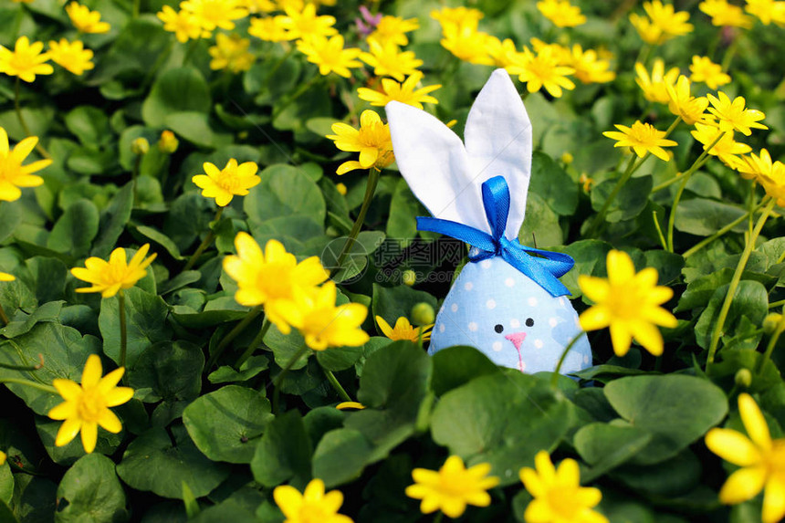 复活节兔子隐藏在花草甸上图片