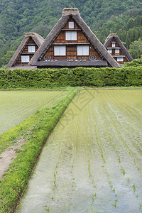 春天的日本白川乡历史村图片