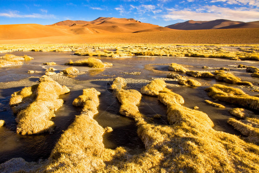 Altiplano安第斯高原海拔4400米的VegasdeQuepiaco盐湖和环礁湖图片
