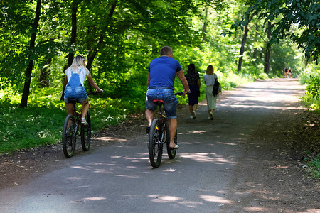 在许多树木中度过骑车锻炼和放松健康的生活方式体育和积图片