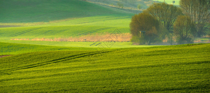 春农村地貌绿色山坡图片