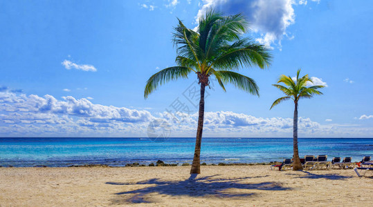绿松石海洋的景色与热带海滩绿色植被和白色沙滩图片
