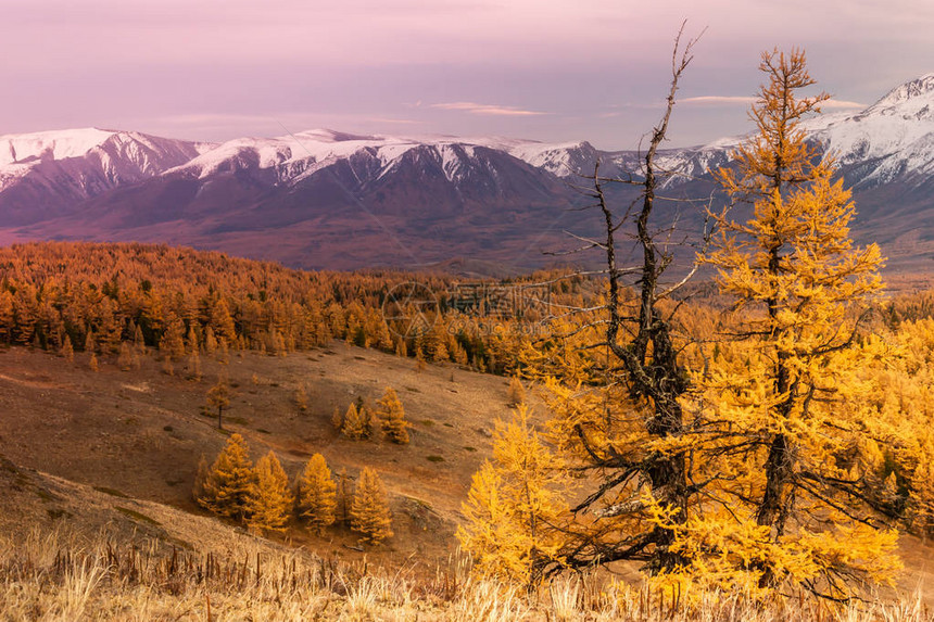 山上的秋天山雪脊和黄龙卷风全景图片