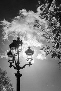 位于法国巴黎的阴云天空和秋树枝背景的古老图片