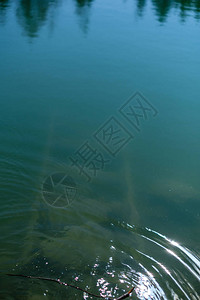 淡水绿林湖阳图片