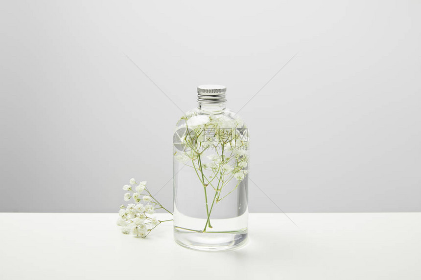 灰色背景的透明瓶子和白色野花中的有图片