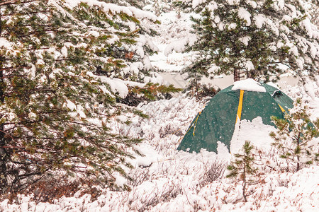 冬季森林中的绿色帐篷徒步图片