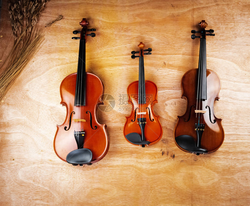 木板上装有三种大小不同的小提琴展示音图片