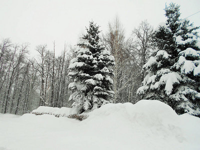 3月当天厚的雪覆图片