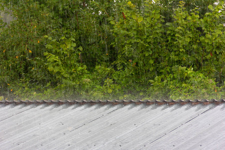 在绿色树叶和小冰雹撞上金属屋顶的背景图片