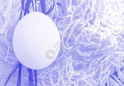 复活节巢中的一个复活节彩蛋图片