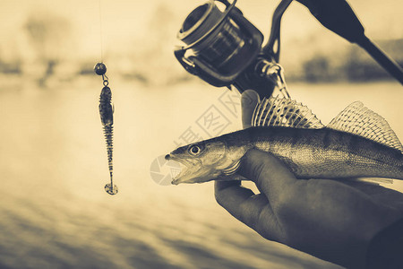 钓鱼渔夫和鱼图片