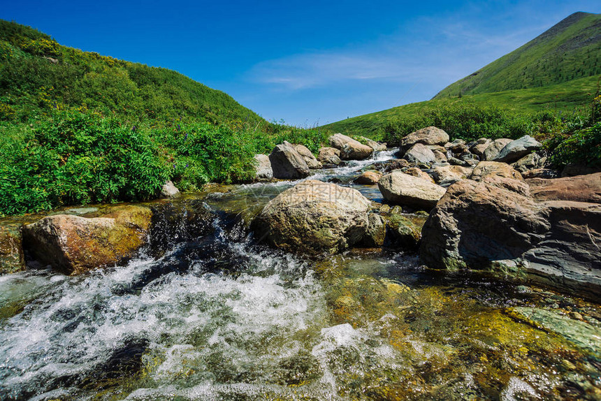 与大巨石的山溪在蓝天下的山丘附近阳光明媚的绿色山谷阳光下快溪中的干净水流阿尔泰自图片