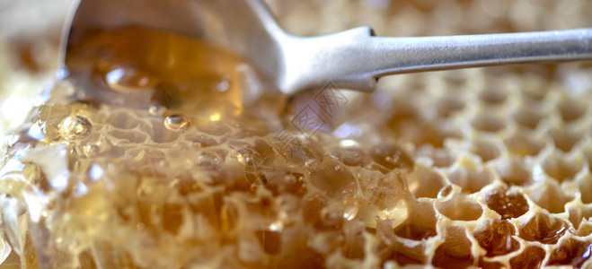 从蜂巢宏拍摄的选择焦点页眉格式中新鲜取出的金有机蜂蜜梳子图片