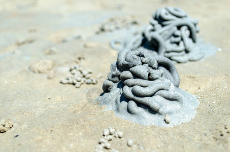 在泰国海滩沙上撒沙子的图片
