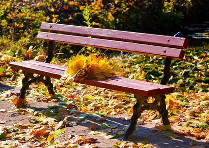 公园长椅长椅上是黄叶花环秋天背景图片