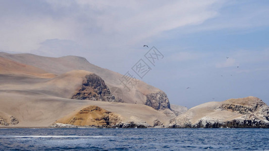 在秘鲁游览游客可以与太平洋中的图片