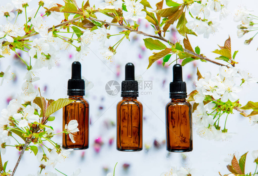 白色背景中的黑色香水瓶和樱桃花图片