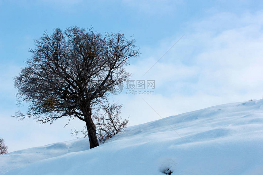 寒冬的雪山图片