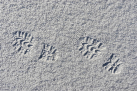 雪中脚步声的高对比度图像图片