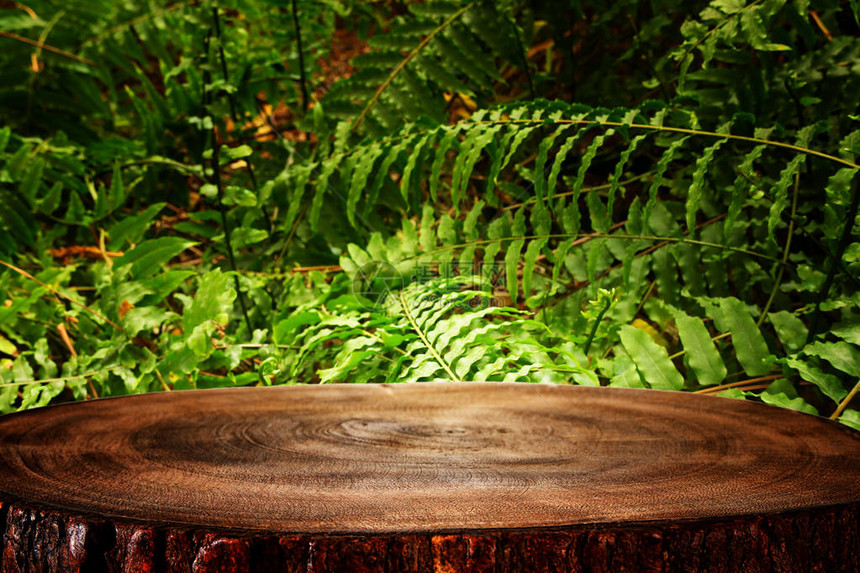 在热带绿色花岗背景前的木制桌用于产品展图片