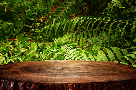 在热带绿色花岗背景前的木制桌用于产品展图片