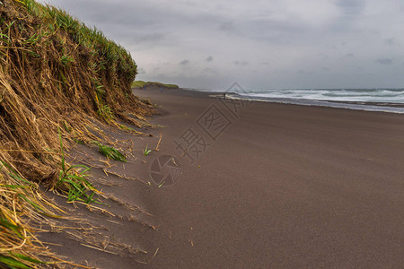 Avachaya湾Avacha湾和火山海滩的波浪景图片