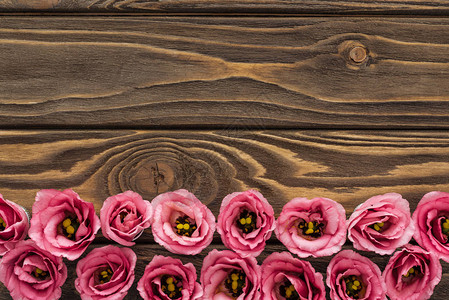 木桌上粉色枯叶花的排列图示上背景图片