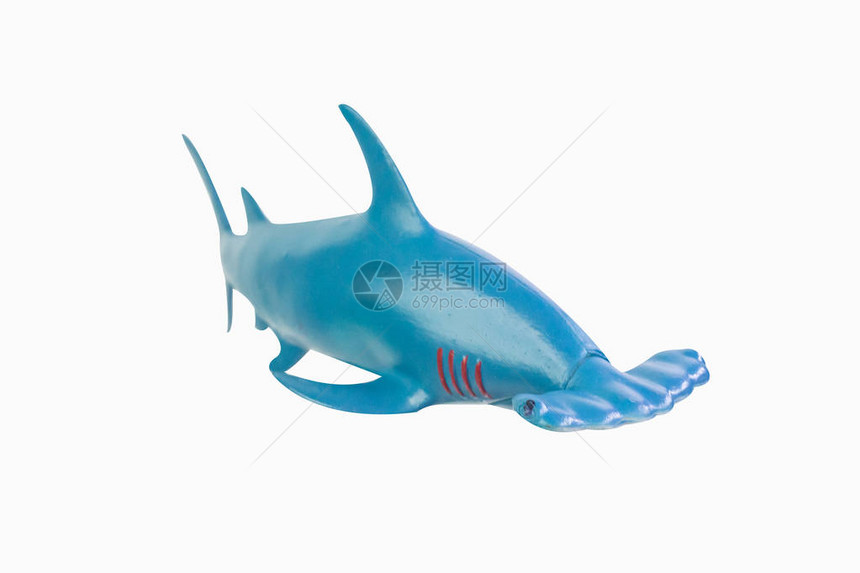 玩具锤头鲨孤立的特写图像图片