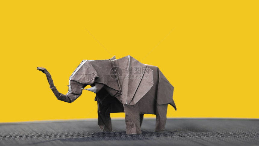 黄色背景上的折纸大象湿折工艺制作的动物造型手图片