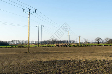 春季跨越农田的电力线图片