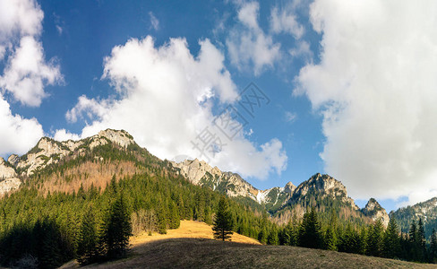 夏天的Tatras大全景图片