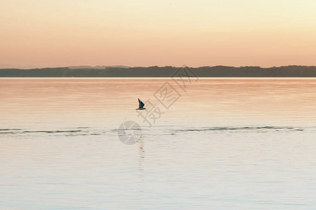 红橙色和海鸥在水面上飞翔的焦米西湖图片