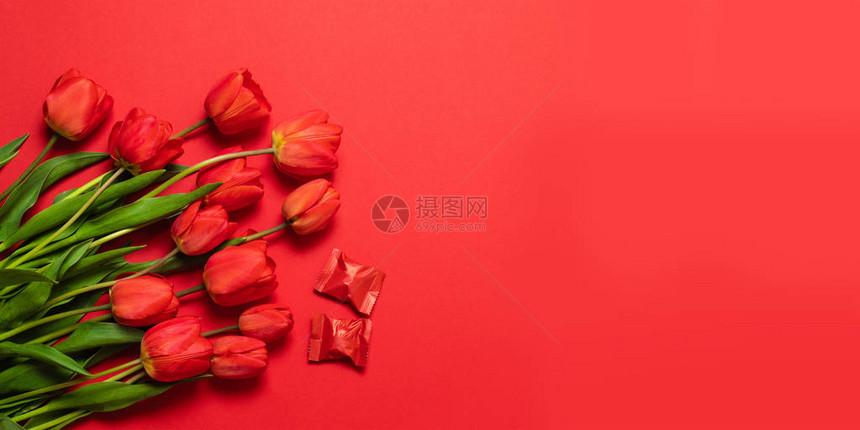 红色的郁金香在红色背景上平坦的躺下图片