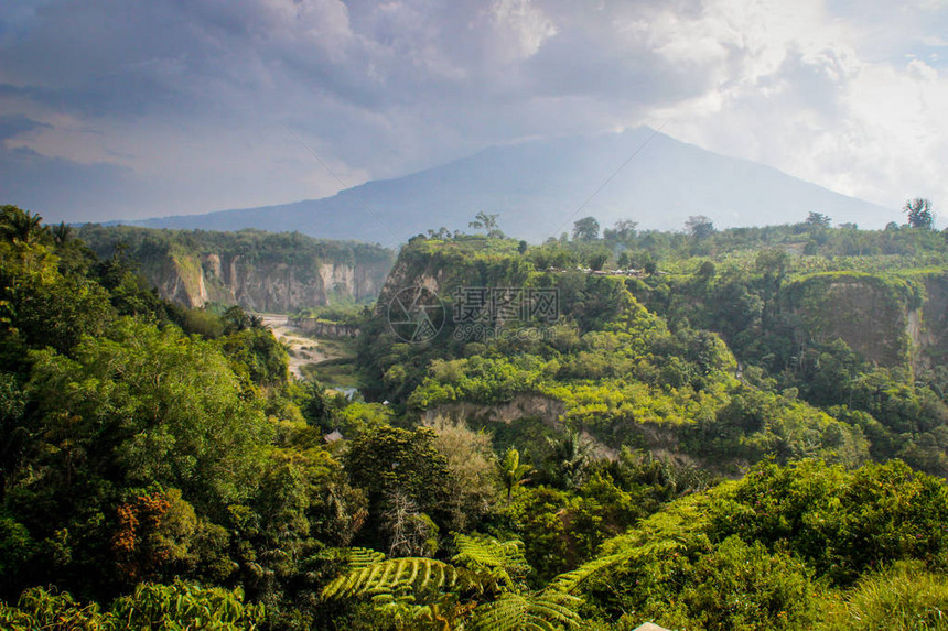印度尼西亚令人惊叹的雨林苏马特拉岛图片