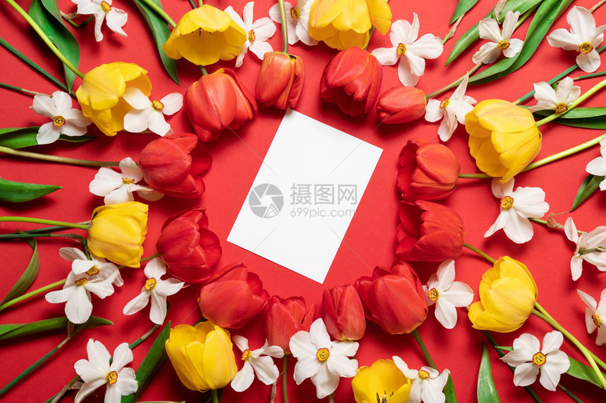 红色郁金香花框呈圆形图片