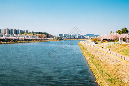 Dongchon河边公园和韩国大邱泉图片