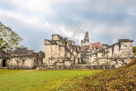 危地马拉蒂卡尔公园古代城市提加尔中央背景图片