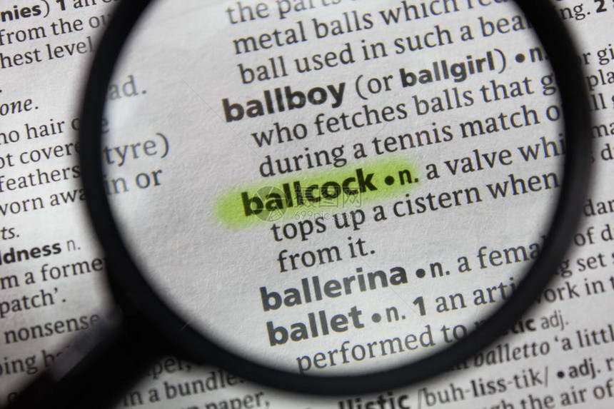 字典中的单词或短语ballcock图片
