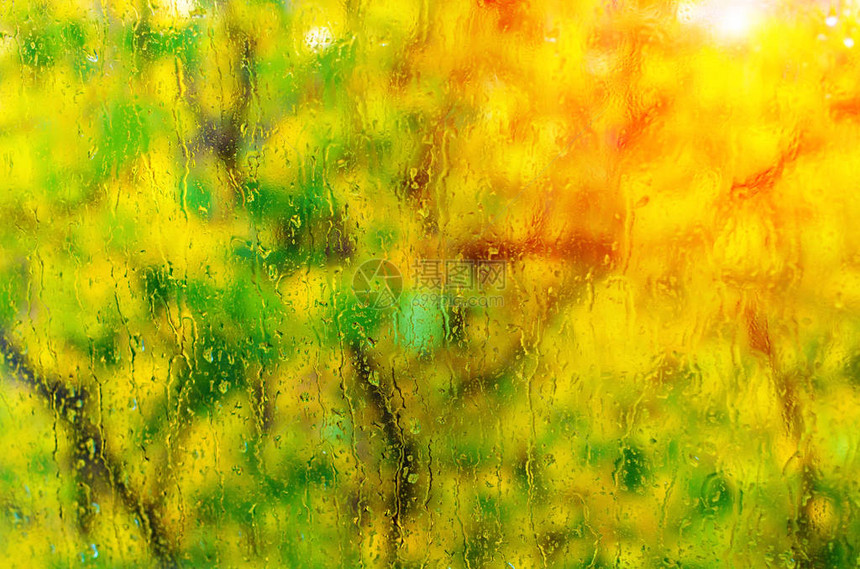 在一片含黄叶阳光的模糊秋树底边图片