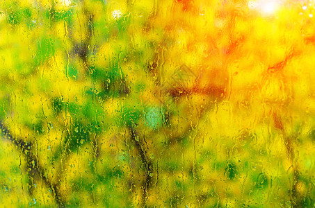 在一片含黄叶阳光的模糊秋树底边图片