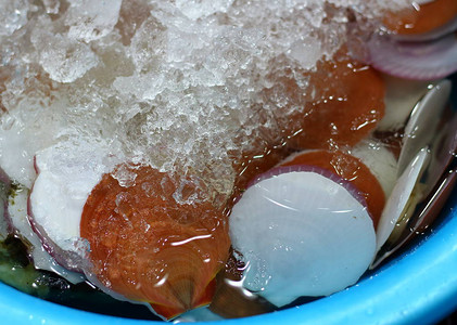 卖新鲜生扇贝在冰面上销售在越南的亚洲图片