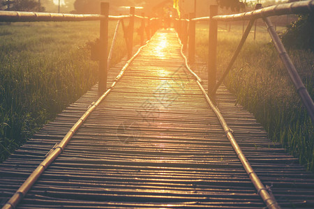 竹桥走道阳光图片