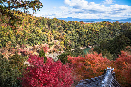 日本京都亚林山秋季山上多彩的红树林从森科寺庙观察点看图片